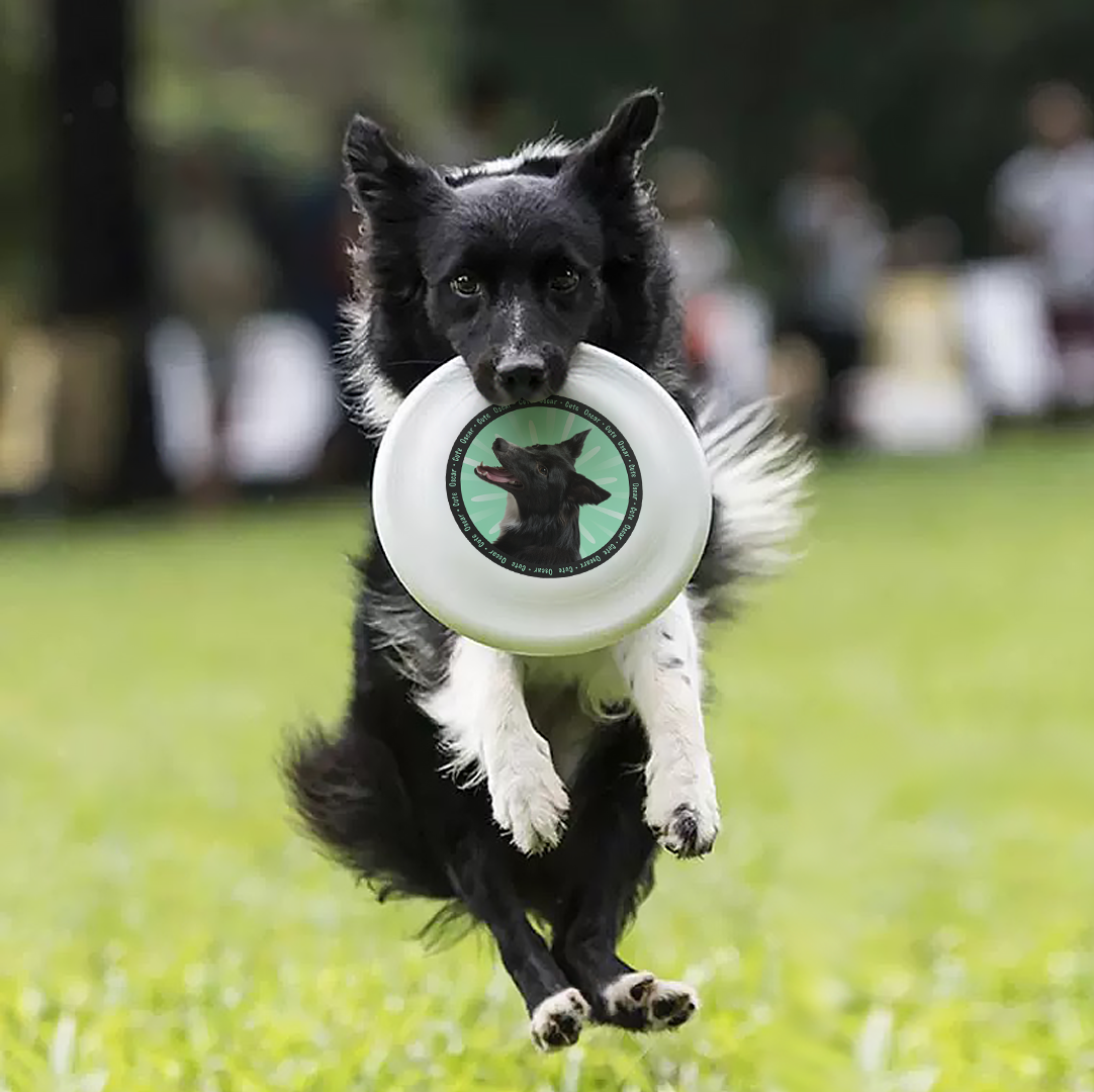 Custom Frisbee – Catch Fun and Style!