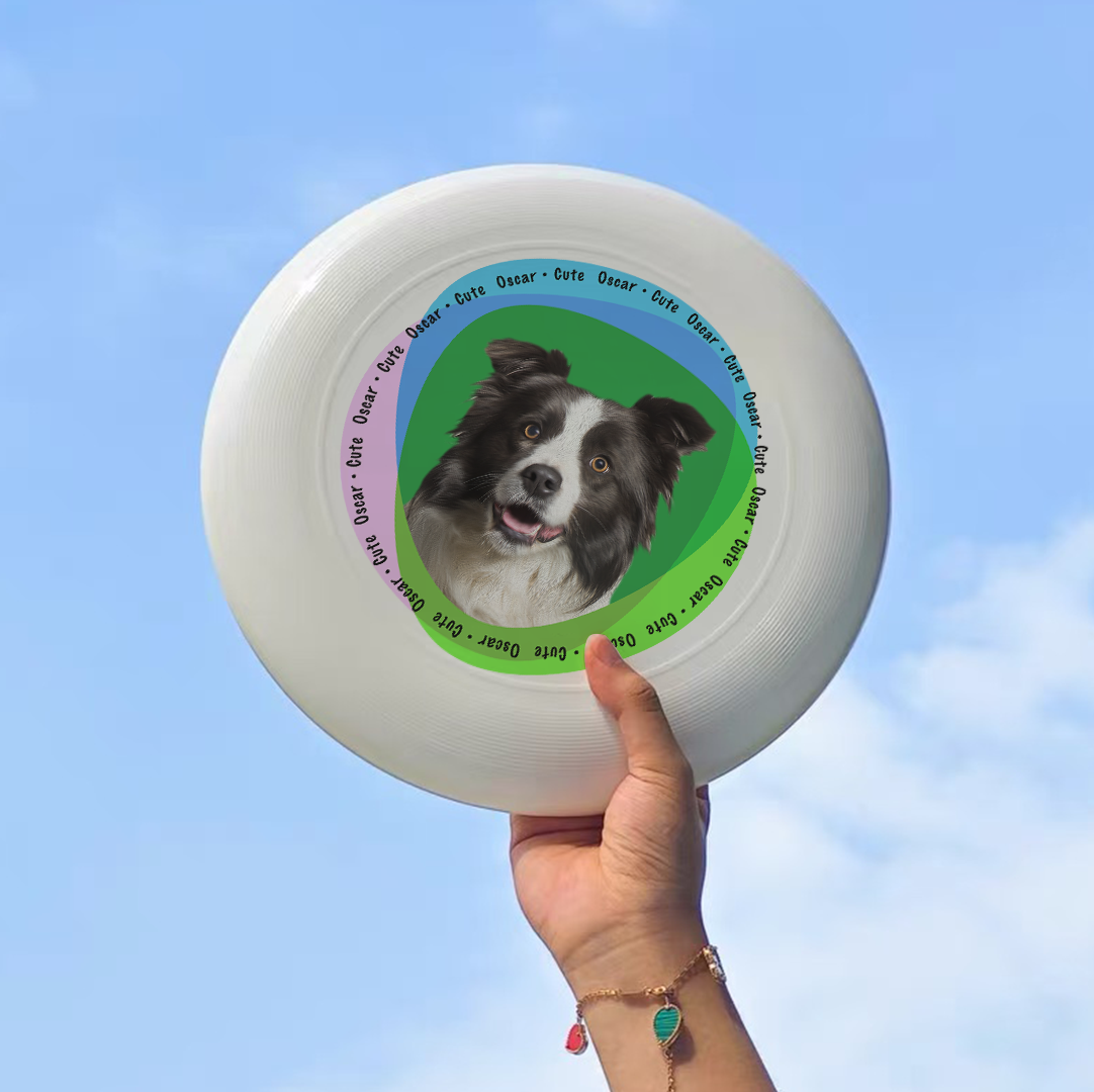 Custom Frisbee – Catch Fun and Style!