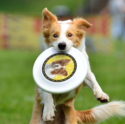 Custom Frisbee – Catch Fun and Style!